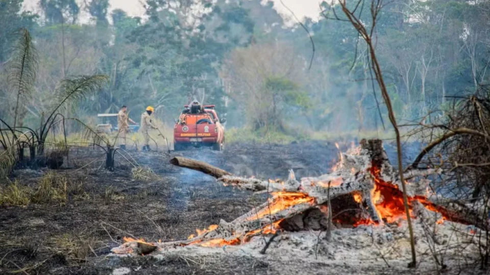 Queimadas no Acre em outubro já chegam a 45% do total de setembro