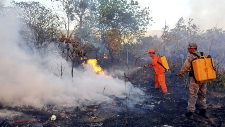 Focos de queimadas caem 79% no Tocantins