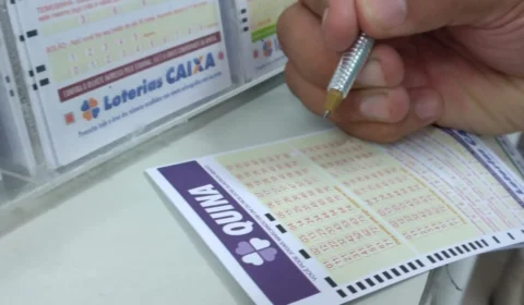 Quina de hoje, segunda-feira (18/11), concurso 6585; prêmio está em R$ 7,5 milhões