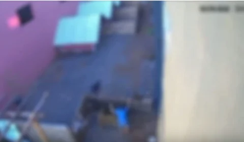 Reação da criança que matou 23 animais ao ser confrontada surpreende dono de clínica no PR