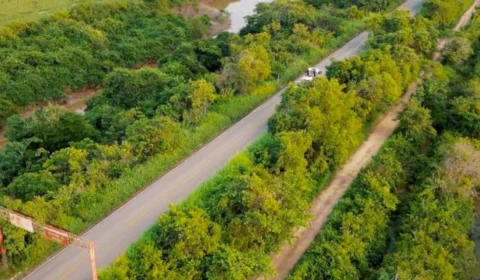 BR-174 será homenageada pela ALE-RR nesta quarta (30) em celebração à Roraima 