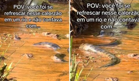 Sucuri gigante surpreende banhista em rio de Goiás; assista vídeo