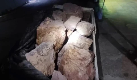 Jovem é detido em Rondônia ao transportar 15 toneladas de ‘pedra sabão’