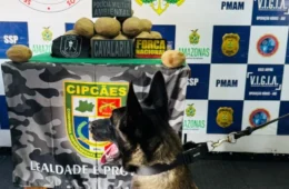 Cão encontra mais de 18kg de cocaína em formato de batata em embarcação no AM