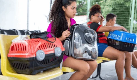 Agendamento para castração gratuita de pets inicia dia 29/11 em Manaus