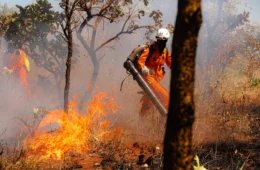 Relatório Final sobre Combate aos Incêndios aponta crescimento de 160% na área queimada no Tocantins em 2024