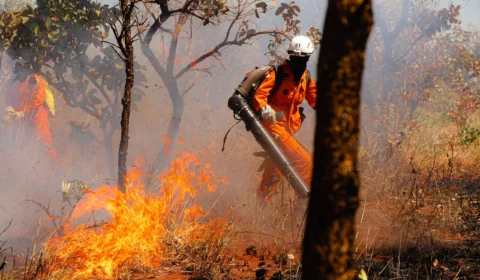 Relatório Final sobre Combate aos Incêndios aponta crescimento de 160% na área queimada no Tocantins em 2024