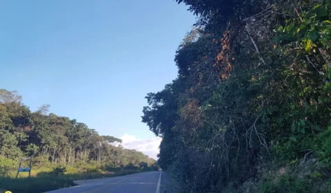 Corpo de homem com sinais de tortura é encontrado na BR-174