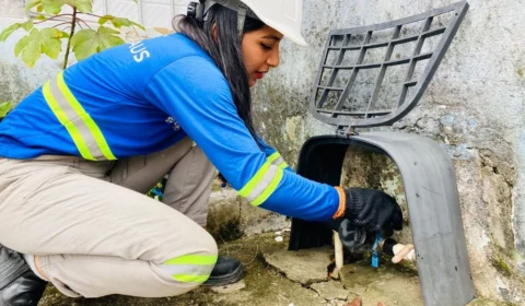 Empresa oferece 180 vagas para Agente de Serviços em Manaus; confira