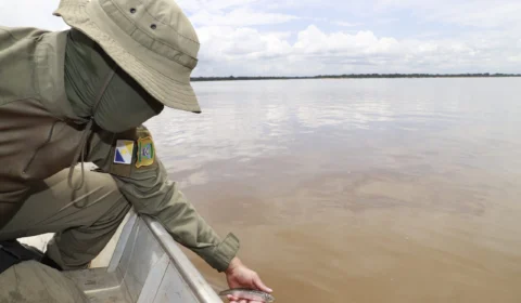 Piracema: entenda as regras no período de proibição da pesca