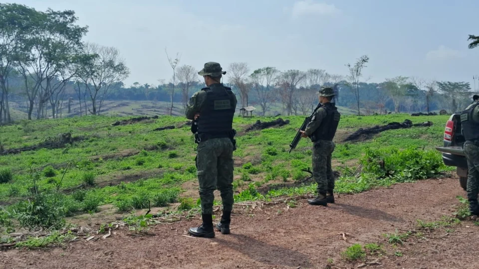 Polícia Militar Ambiental apreende armas na zona rural do Tocantins