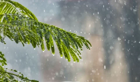 Previsão do tempo em Porto Velho: confira o clima para hoje (27)