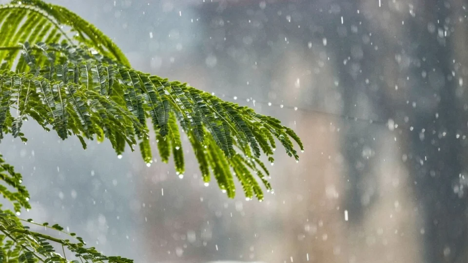 Previsão do tempo em Porto Velho: confira o clima para hoje (27)