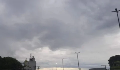 Previsão do tempo em Manaus: confira o clima para hoje (14/11)