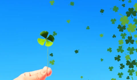 Resultado Lotofácil de hoje (23/11): veja os números sorteados no concurso 3251