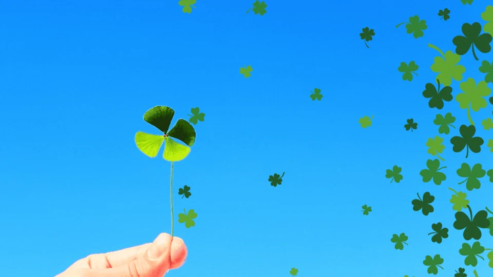 Resultado Quina de hoje (23/11): veja números sorteados no concurso 6589