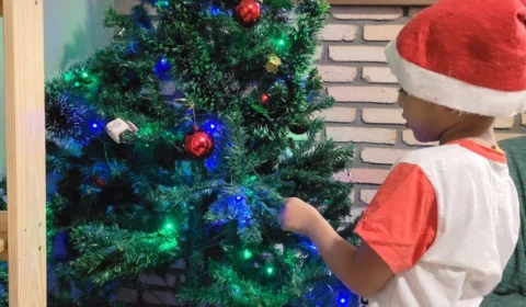 Brasília terá Natal com roda-gigante e patinação no gelo na Esplanada dos Ministérios