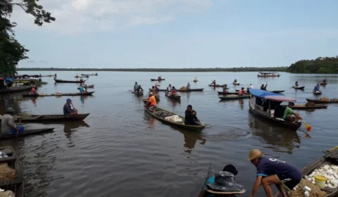Pescadores afetados pela seca no Amazonas recebem benefício em dezembro; veja valor
