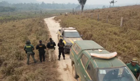 Suspeito de provocar queimadas em terras públicas na Amazônia é preso pela PF