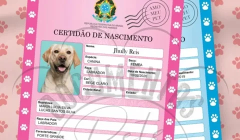 Cartórios oferecem ‘certidão de nascimento’ para pets no AM; veja como solicitar