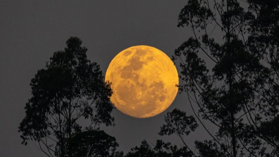 ‘Lua cheia do veado’ poderá ser vista nesta quinta em todo o Brasil; veja horário