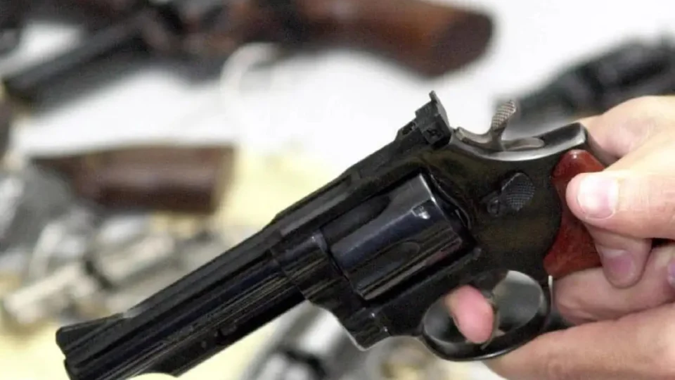 Militar do Exército do DF atira em cão por ‘perturbar o sossego’ da vizinhança