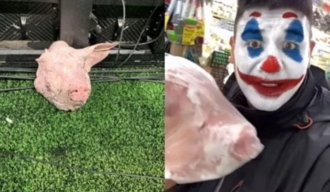 Torcedor gravou compra de cabeça de porco jogada durante Corinthians x Palmeiras