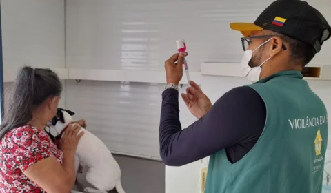 Agendamento para castração de cães e gatos gratuita em Manaus inicia hoje (29/11); saiba como