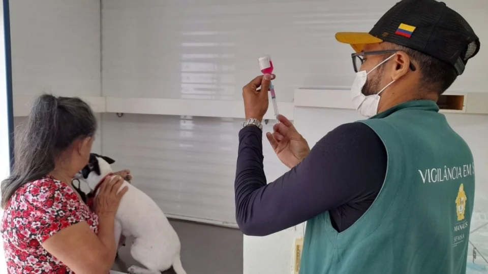 Agendamento para castração de cães e gatos gratuita em Manaus inicia hoje (29/11); saiba como