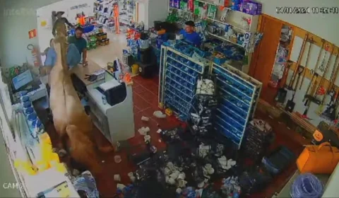 Cavalo invade loja em Palmeiras das Missões (RS) e causa caos; assista vídeo