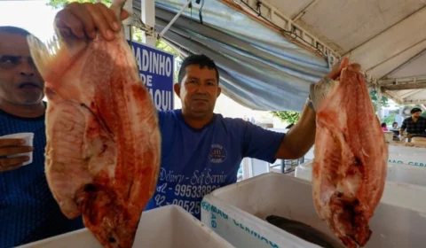Peixes mais baratos neste fim de semana no Feirão do Pescado em Manaus