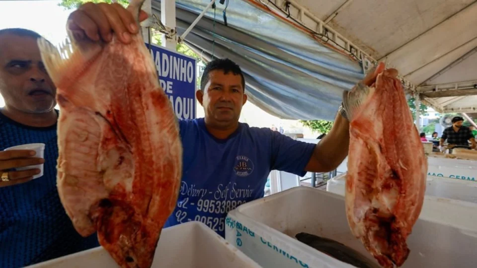 Peixes mais baratos neste fim de semana no Feirão do Pescado em Manaus