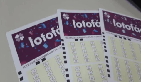 Resultado Lotofácil de hoje (09/11): veja os números sorteados no concurso 3241