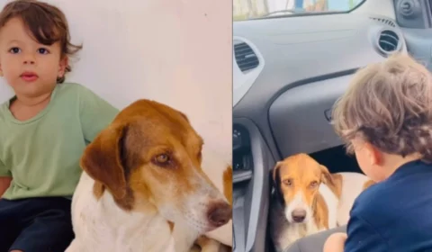 VÍDEO: Menino de 3 anos consola cadela antes de vacina e momento encanta a web