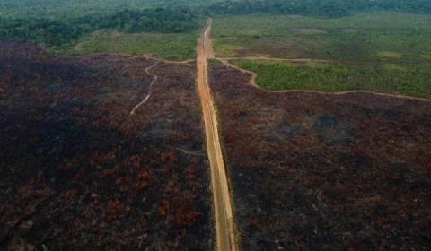 BR-319 e 174: ministro anuncia asfaltamento e combate ao desmatamento