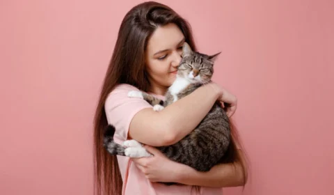 4 dicas para educar os animais de forma positiva