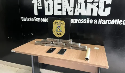 Polícia Civil apreende 5 kg de maconha e prende dois homens por tráfico de drogas em Palmas