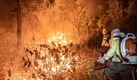 Rondônia é o terceiro estado com mais queimadas em outubro