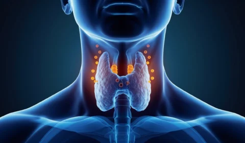 Tireoidite de Hashimoto: o que é a doença que acomete Lexa; veja os sintomas