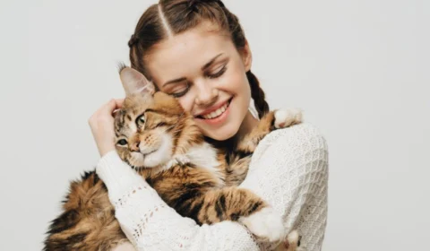 8 dicas para fortalecer o vínculo com o gato