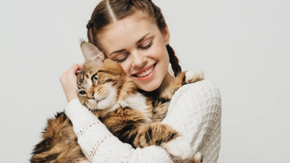 8 dicas para fortalecer o vínculo com o gato