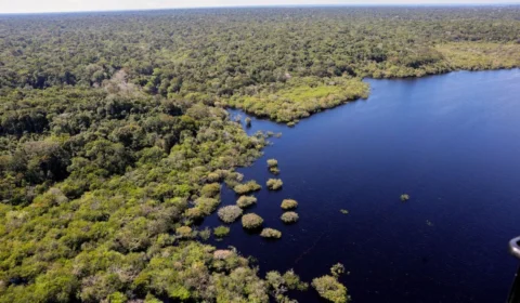 Presença de facções criminosas cresceu 46% na Amazônia Legal