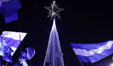 ‘Natal Caprichoso’: árvore azul gigante é inaugurada em Parintins