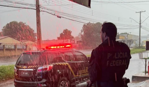 Operação Mala Herba investiga tráfico de drogas em Palmas