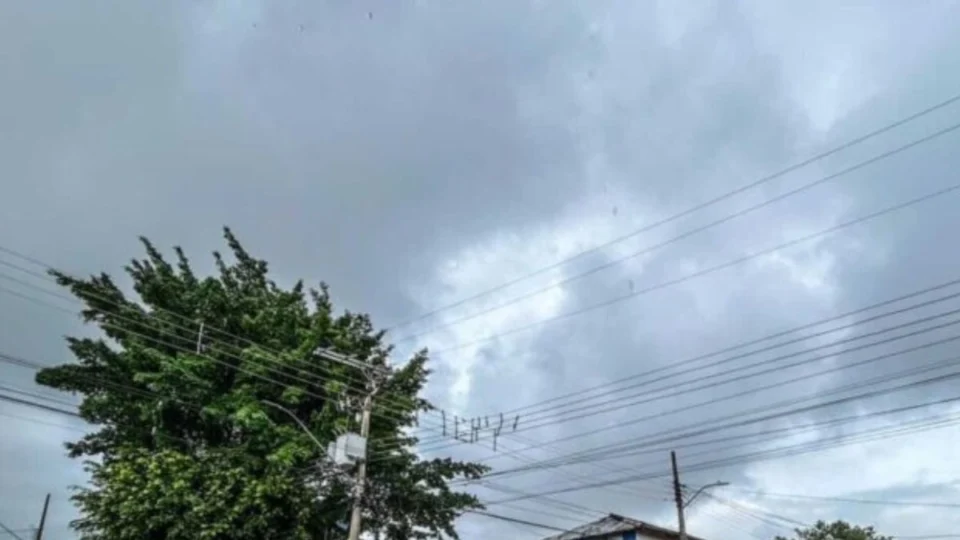 Previsão do tempo em Manaus: confira o clima para hoje (17/12)