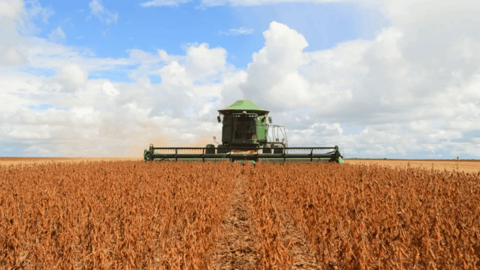 Produção de grãos impulsiona a economia de Rondônia com resultados favoráveis