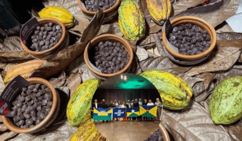 Rondônia é destaque em concurso nacional de cacau pelo 2º ano
