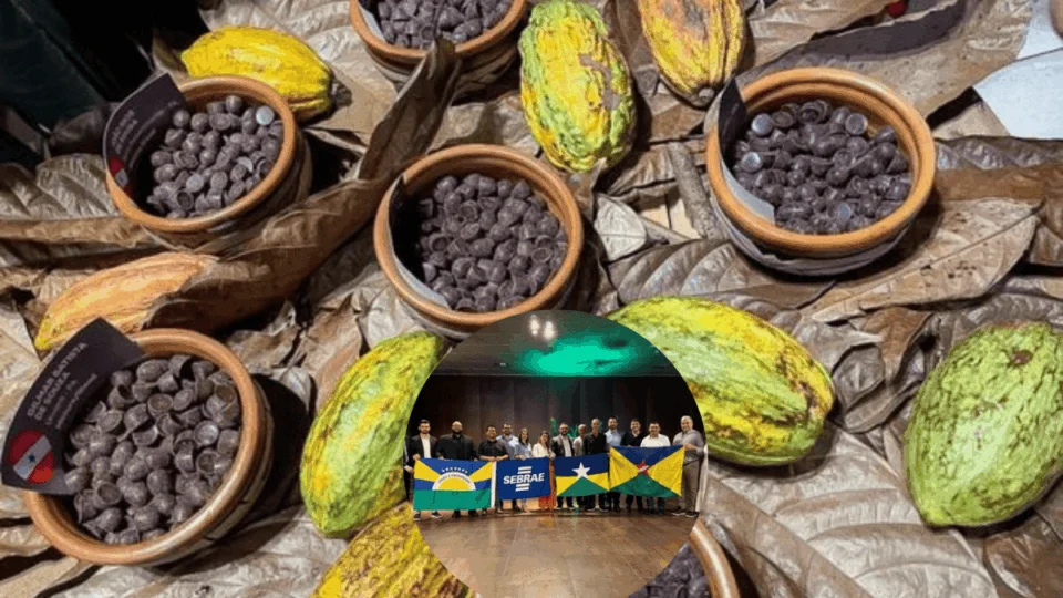 Rondônia é destaque em concurso nacional de cacau pelo 2º ano