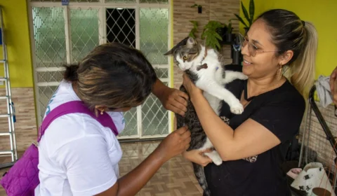Vacinação gratuita contra a raiva para cães e gatos inicia em supermercados de Manaus