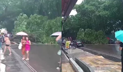 Avenida no Centro de Manaus é bloqueada após queda de árvore; veja vídeo